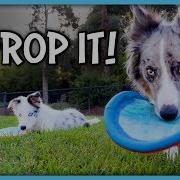 Drop It