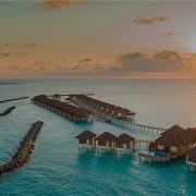 Anas Otman Paradise Vibes