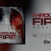 Dead Inside Through Fire