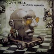 Gov T Mule No Need To Suffer