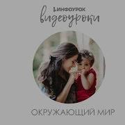 Животные Жарких Стран