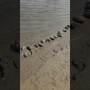 Команда На Старт Внимание Марш