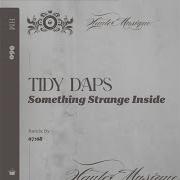 Tidy Daps Something Strange Inside 07 08 Remix Haute Musique