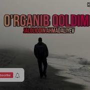 Sensiz Yashashga O Rganib Qoldim