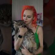 Моя Киска Готова Тик Ток