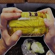 Buttered Side Down Intro