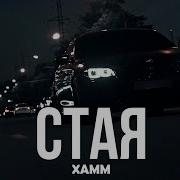 Xamm 2025