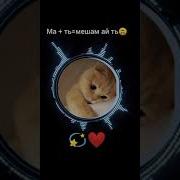 Ма А Ту Мешам Ту А Ма
