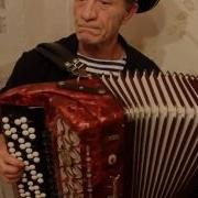 Ой Васильки Васильки Виктор Доценко Баян