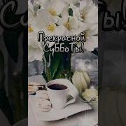 Суббота Доброе Утро Прекрасное Утро Суббота Видео Открытка С Добрым Утром В Субботу
