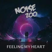 Feeling My Heart Noise Zoo