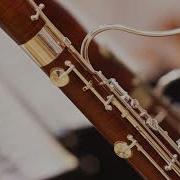Johann David Heinichen Sonata A 2 In G Minor For Oboe B C