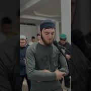 Дагестанский Тиологический Институт Имени Саида Афанди