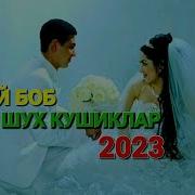 Туй Боб Шух Кушиклар 2023