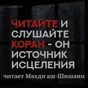 Чеченец Очень Красиво Читает Коран