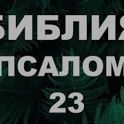 Псалом 23 Псалтирь На Русском Языке