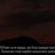 Мишари Багли