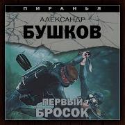 Первый Бросок Книга 2