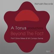 A Torus Beyond The Fact Fact Zone