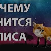 Вот Узнать Бы Отчего Мне Снятся Свадьбы