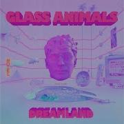 Glass Animals Domestic Bliss