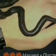 Нашид Мишари Аль Арада