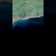 Я Еду В Гагры Часть 2