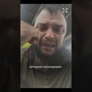 Привет Это Навлиный И Я В Шторм Z