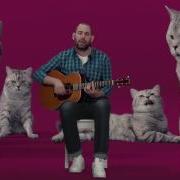 Семён Слепаков Котозависимость