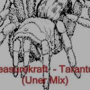 Pleasurkraft Uner Tarantula