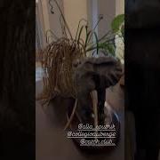 Для Вечеринок Песни