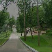 Николай Берег Я Столько Лет