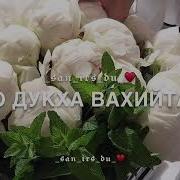 Хьо Кху Дуьненчохь Ирсе Декъал Хилита