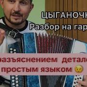 Цыганочка На Гармошке