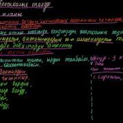 Лексикалык Талдоо