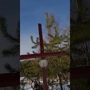 Мы За Мир За Дружбу За Улыбки Милых
