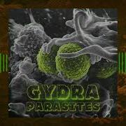 Gydra Parasites