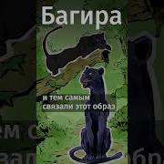 Маугли Фразы