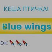 Кеша Учим Попугая Говорить Своё Имя Урок Для Попугая