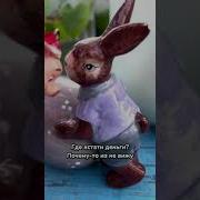 У Зайчика Опухло Яичко