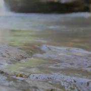 Apex Водке