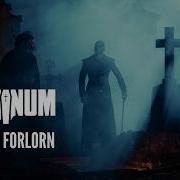 Dominum We Are Forlorn