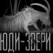 Люди Звери Страшные Истории На Ночь Страшилки На Ночь Worldbegemotkot Страшные Истории