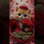 Доброе Утро Котёнок