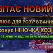 Одягли Свій Наряд Сосни Та Ялинки