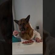 Мем Как Вкусненько