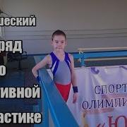 1 Юношеский Разряд По Спортивной Гимнастике