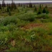 Музыка Души Если На Сердце Грустинка Или Вспоминая Прошедшее Лето