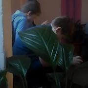Сосут Хуй Ебет Двух Сисястых