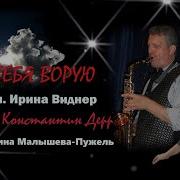Ир Виднер Я Тебя Ворую